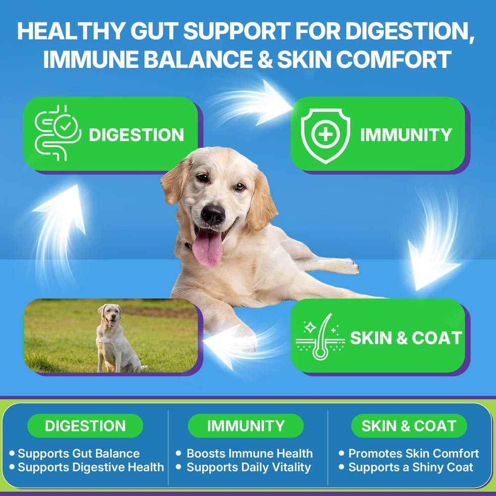 WEALLIN probiotics for dogs ingredients – Bacillus subtilis and chicory root balance gut flora