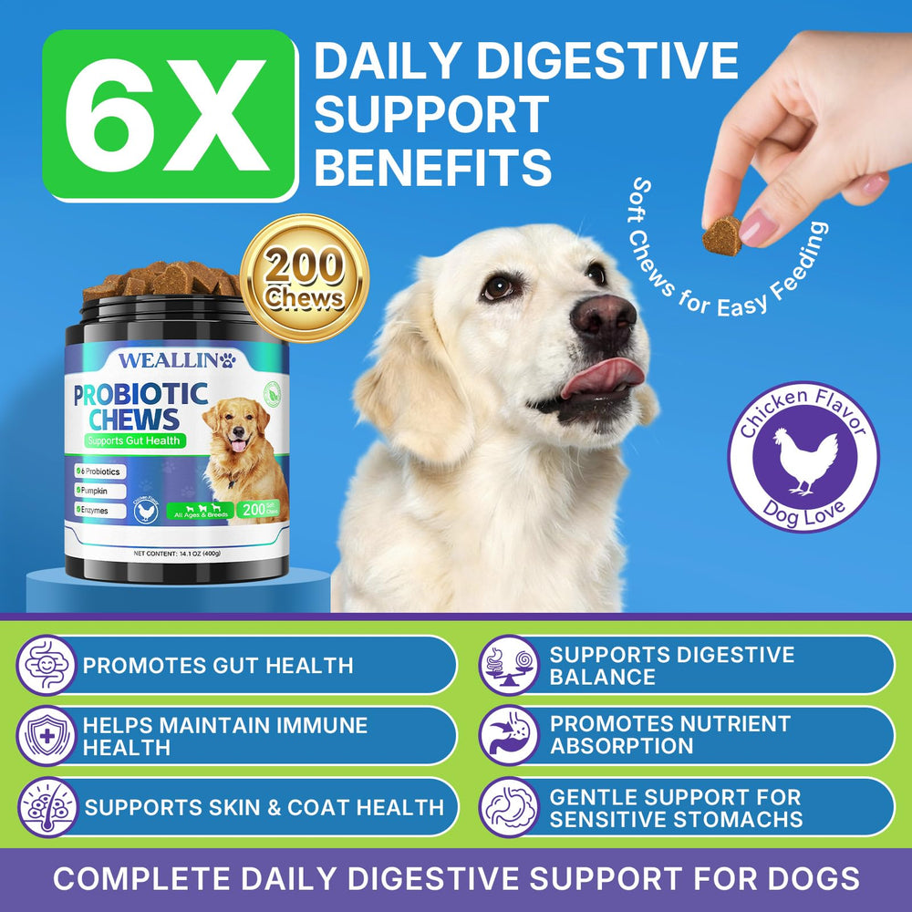 WEALLIN probiotics for dogs jar – 200 chews for ongoing gut health