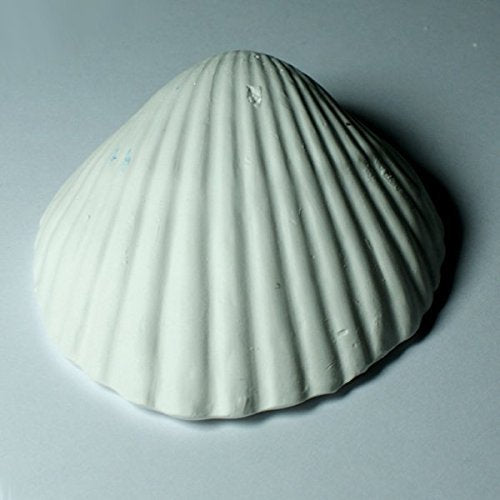 Texture minérale naturelle de Weco Wonder Shell pour décor
