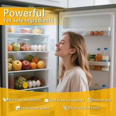 WeelenkEco refrigerator deodorizer packaging box ready for quick setup