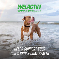 Welactin omega-3 for dogs bottle highlighting EPA and DHA benefits.