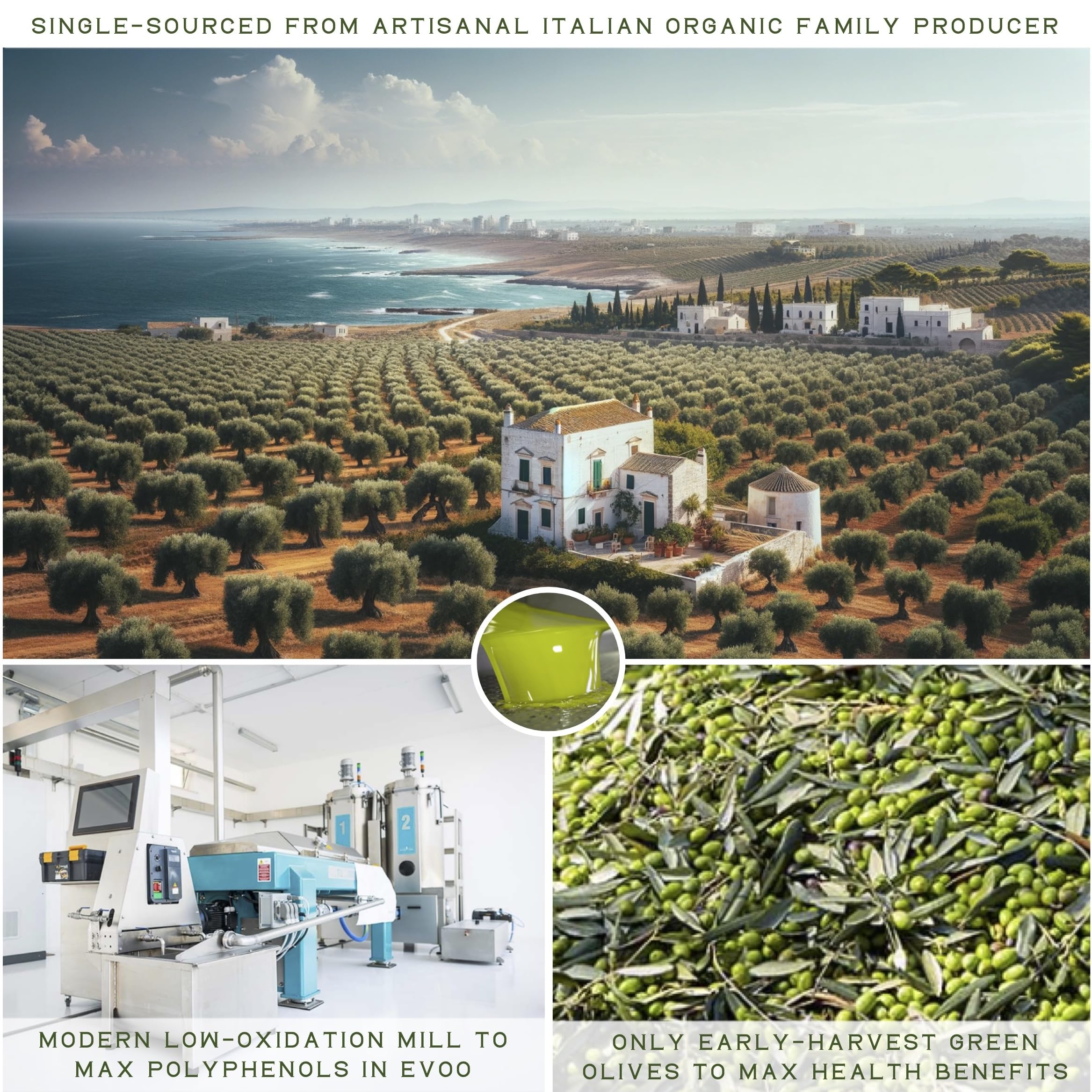 WellEatable green-fruit aroma olive oil hints at a fresh peppery finish.