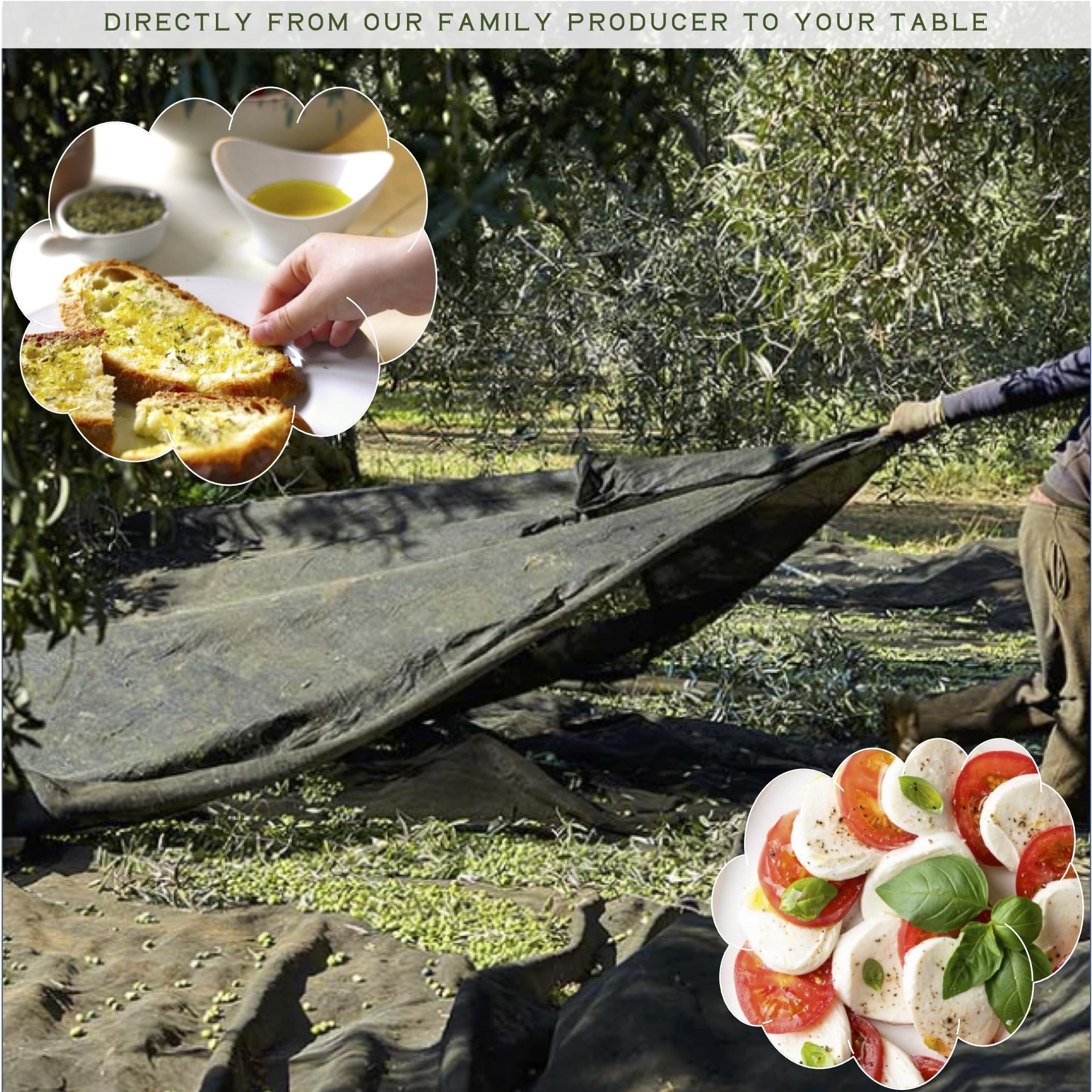 WellEatable grilled vegetables pairing olive oil drizzle enhances savory notes.