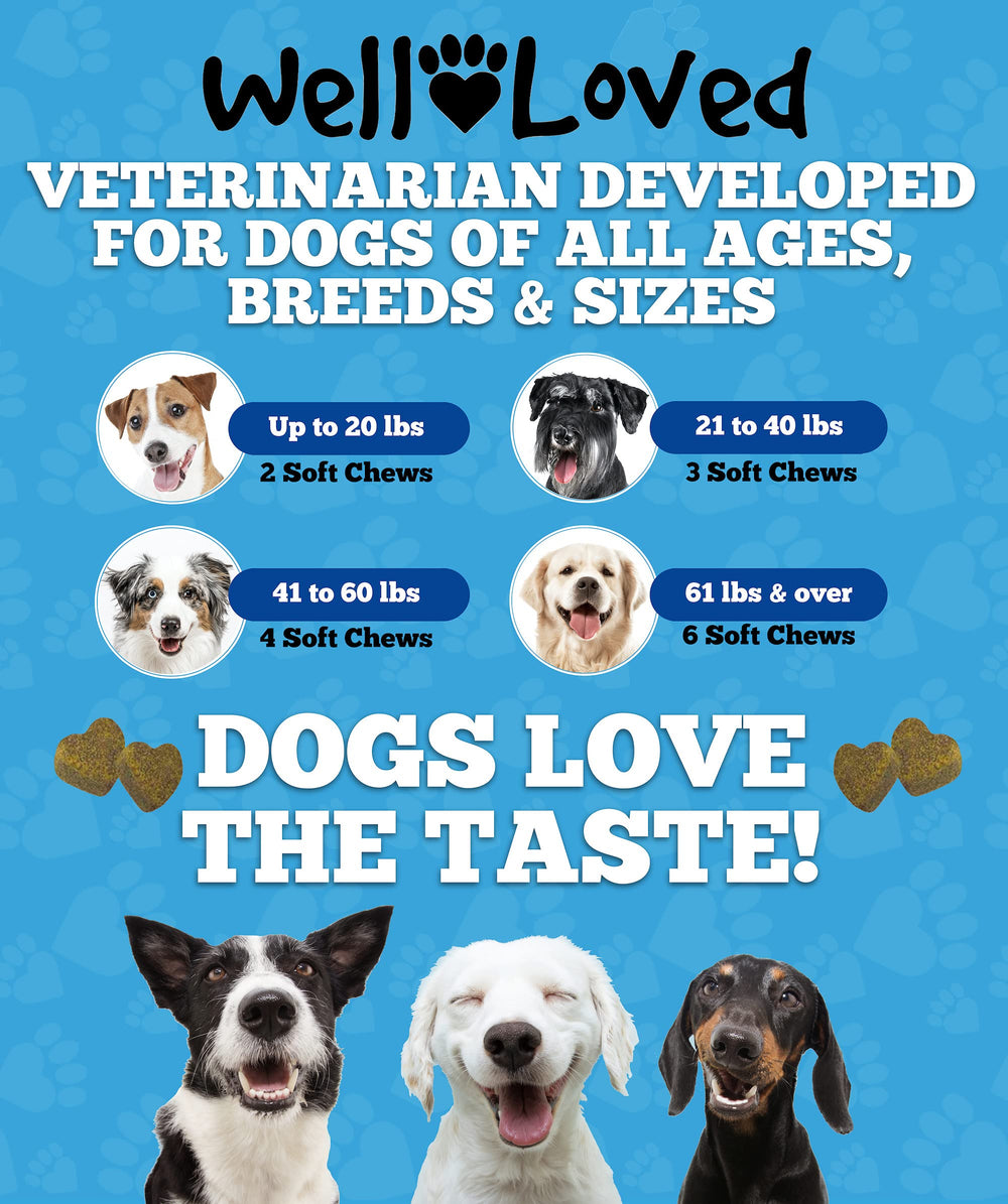 Well Loved dog allergy chews Made in USA seal highlighted for trusted manufacturing.