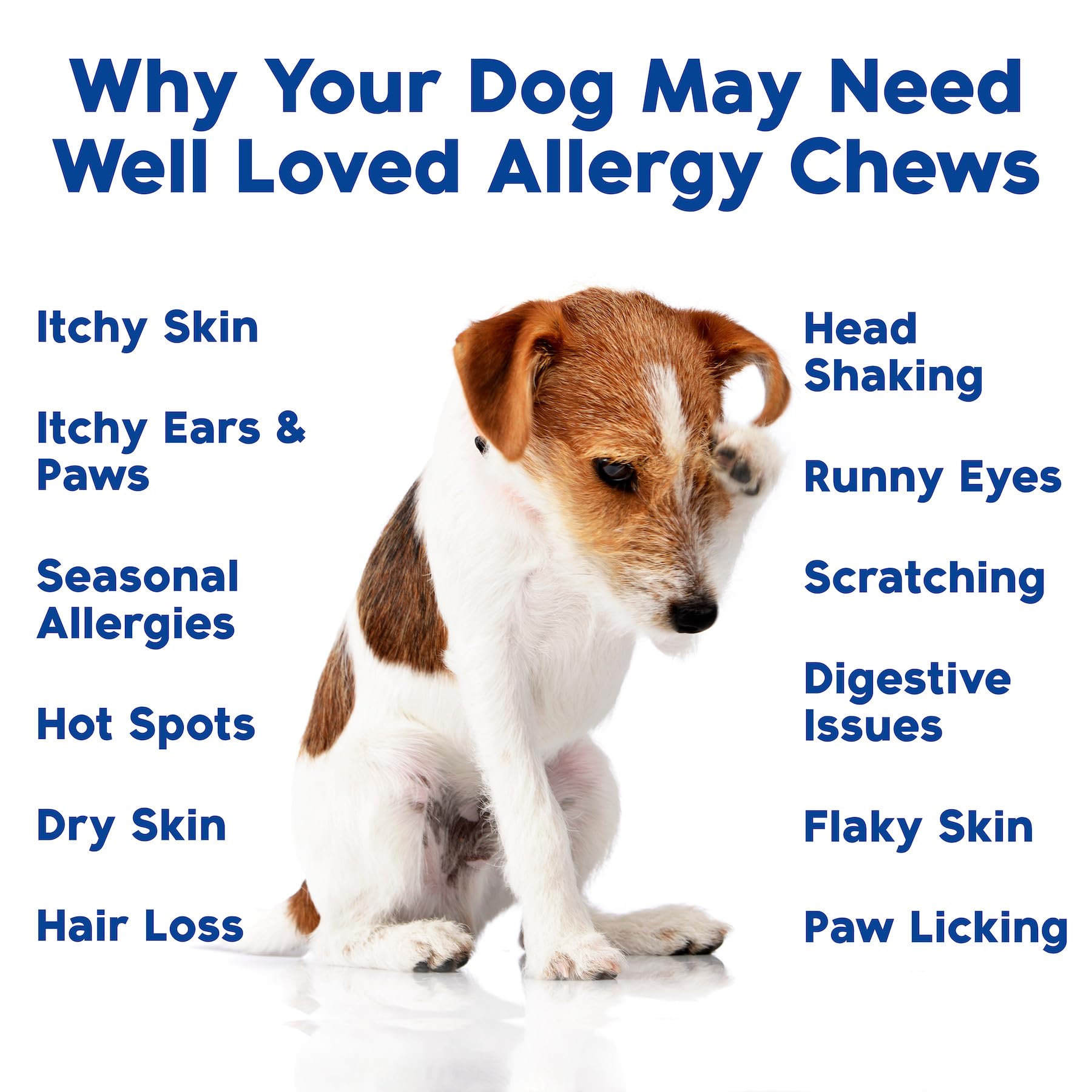 Well Loved dog allergy chews image shows a happy dog enjoying the tasty chews.