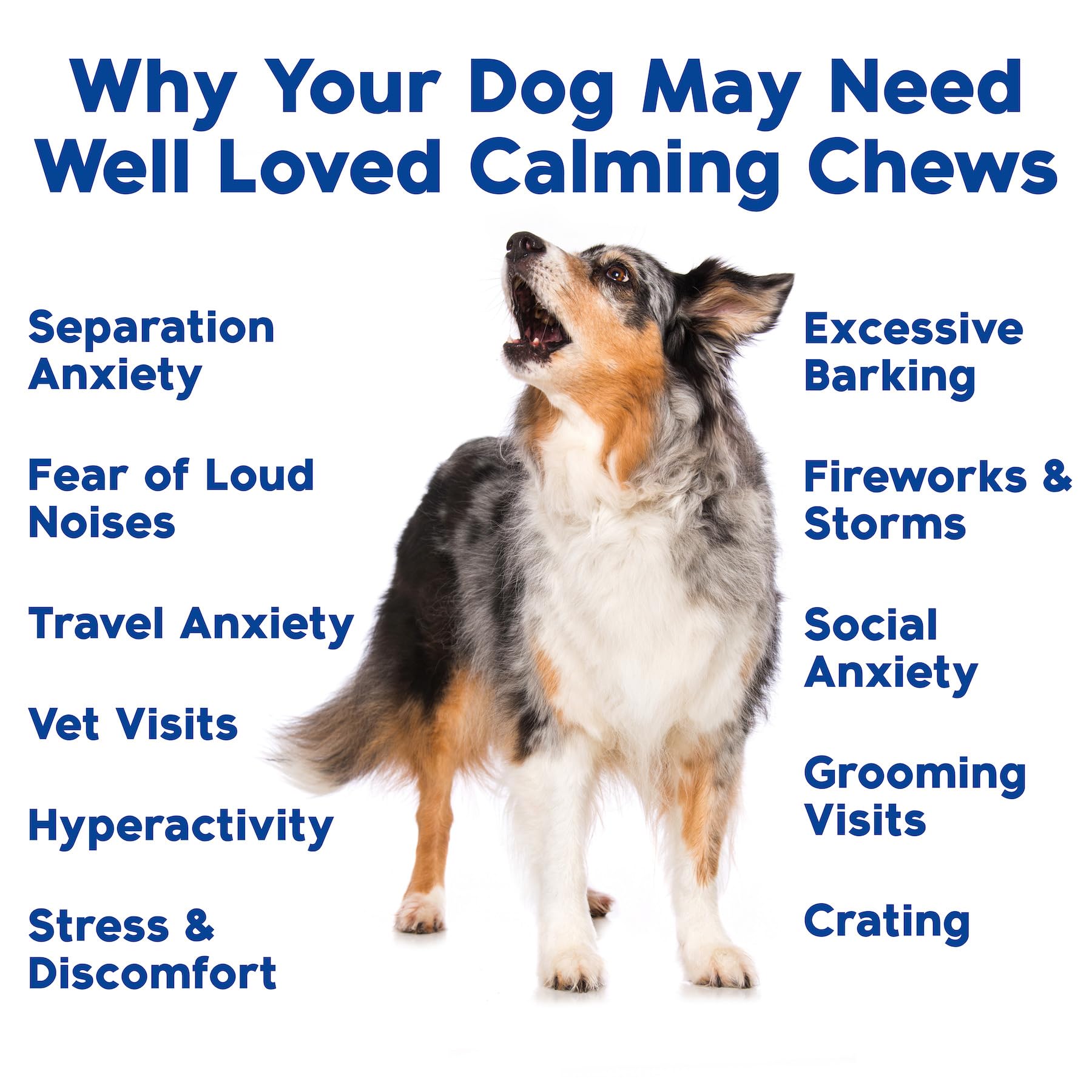 Well Loved Hemp Oil ingredient highlights for dog calming.