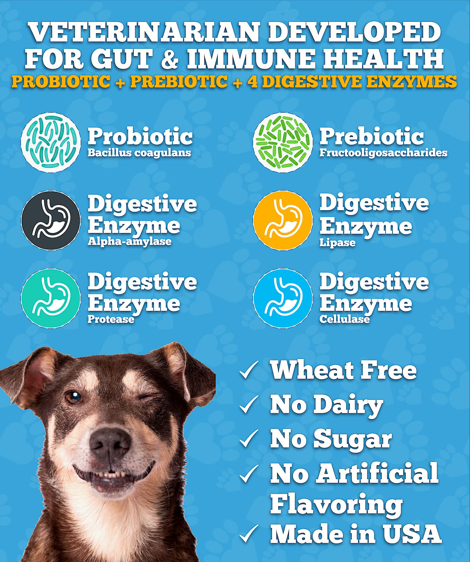 Well Loved Probiotics for Dogs prebiotic enriched formula logo highlights immune support and balance