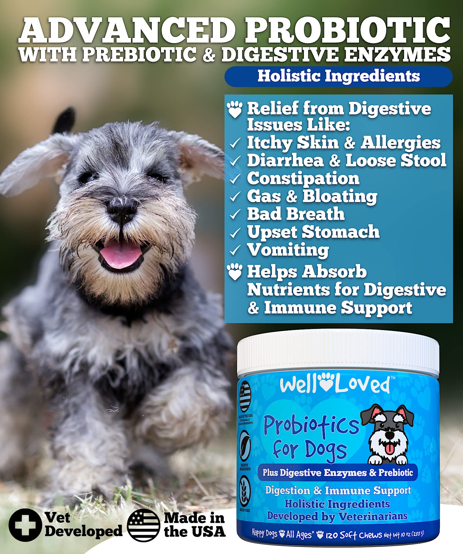 Well Loved Probiotics for Dogs soft chews closeup shows tasty natural bites for daily digestion support