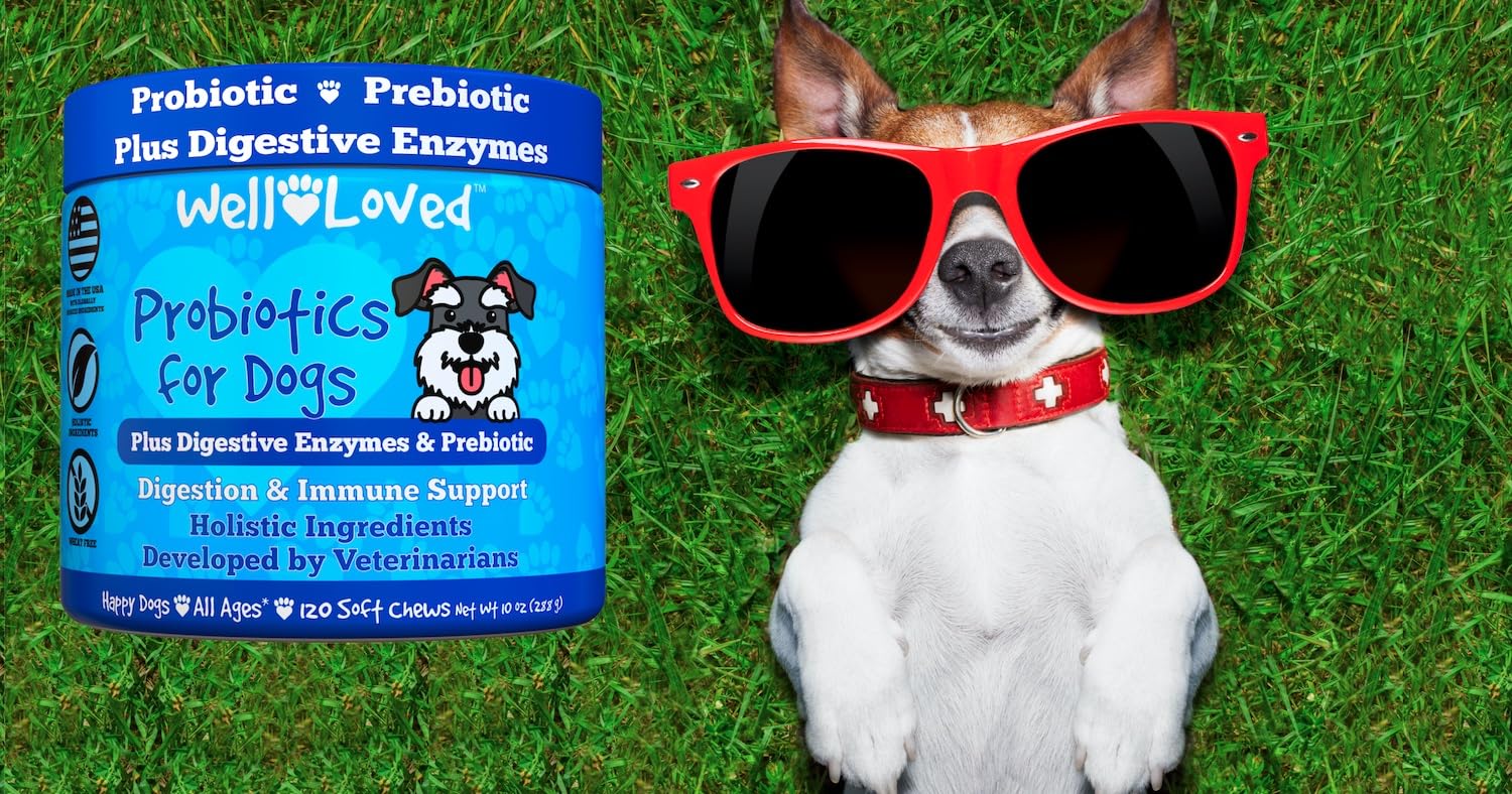 Well Loved Probiotics for Dogs vet-developed stamp reinforces expert backed digestive support