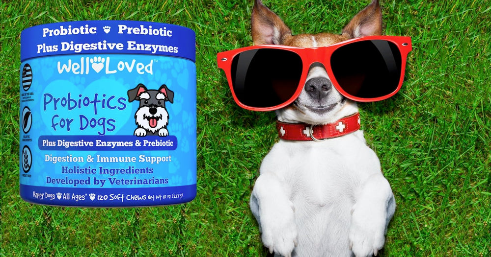Well Loved Probiotics for Dogs vet-developed stamp reinforces expert backed digestive support