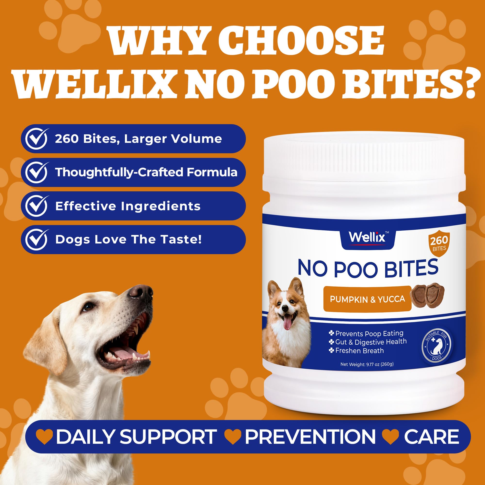 Wellix 260 Bites: immunité et bien-être potentiel grâce à une formule naturelle