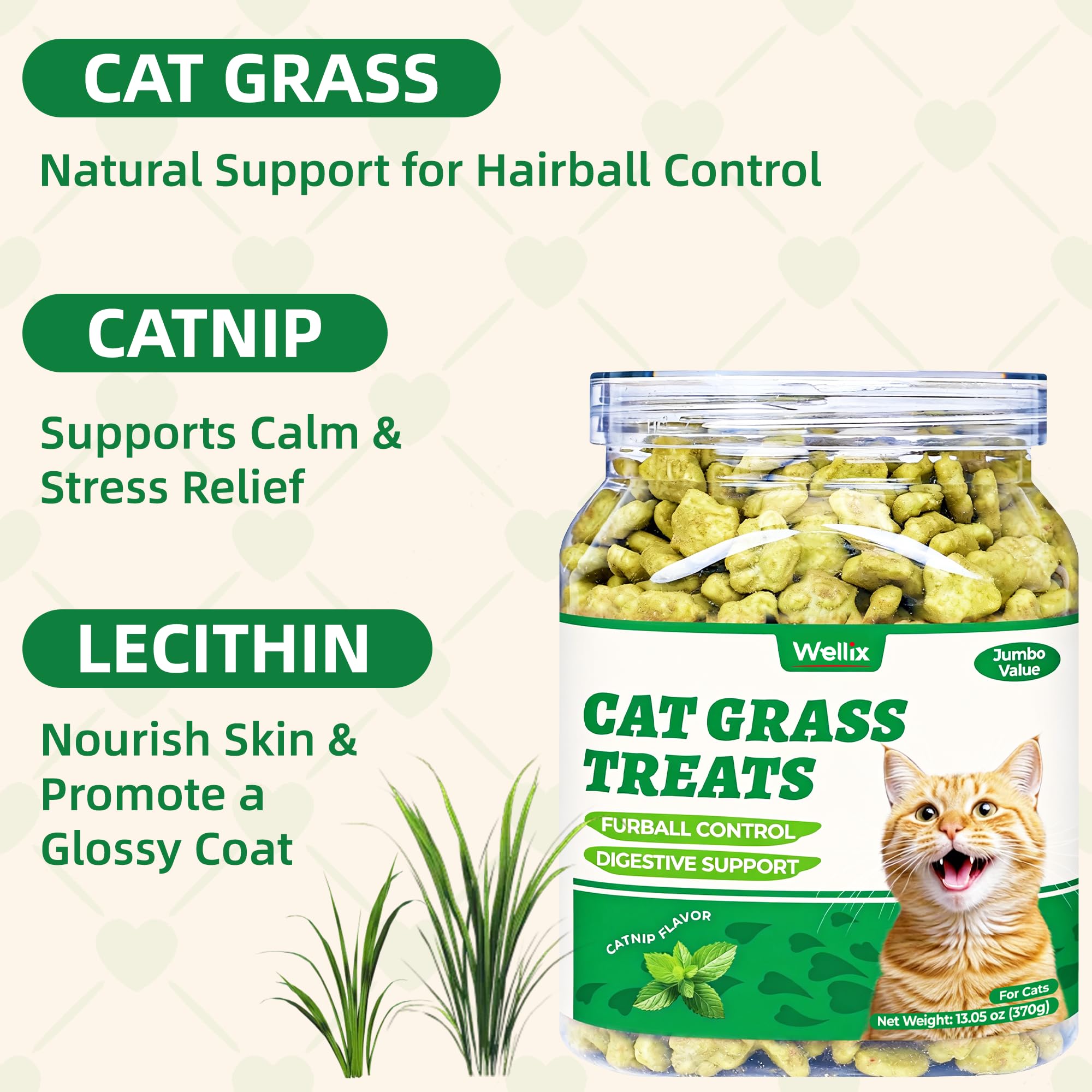 Wellix chat dégustant friandises herbe-chat et saumon, soutien digestion