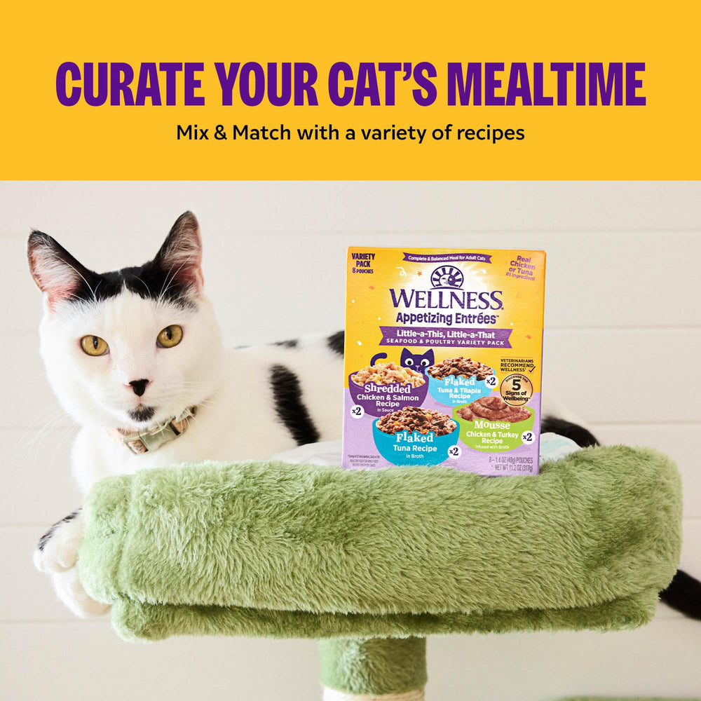 Wellness Appetizing Entrées adult cat nutrition plate suggests complete, balanced meals.