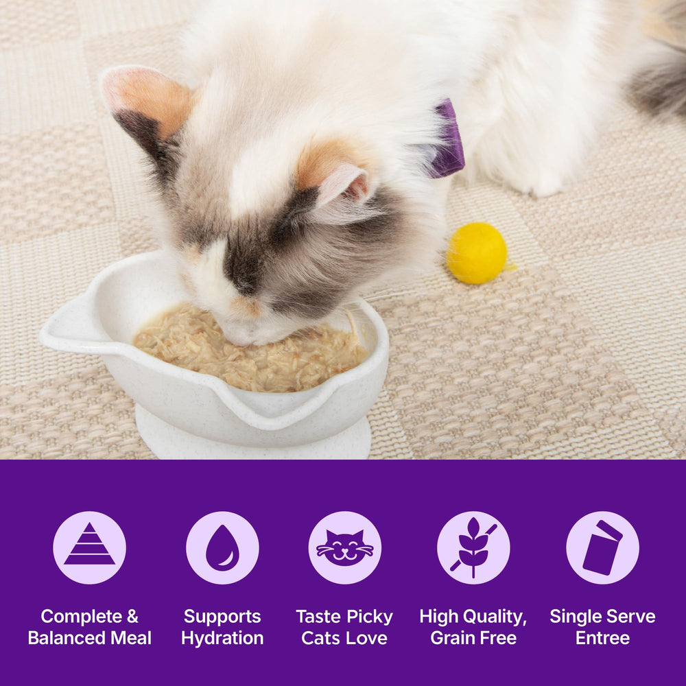 Wellness Appetizing Entrées shredded chicken and duck pouch offers diverse mealtime options.