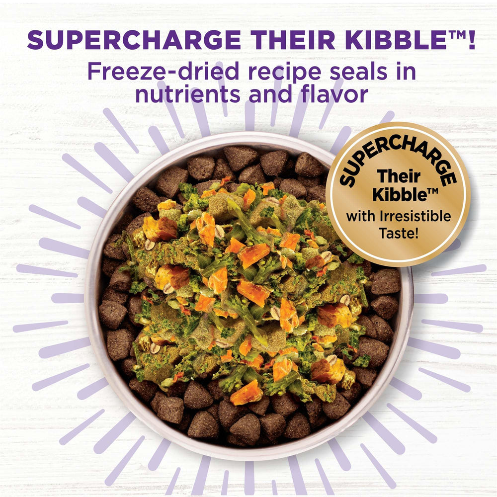 Wellness Bowl Boosters – ingrédients entiers et légumes, repas équilibré pour chiens.