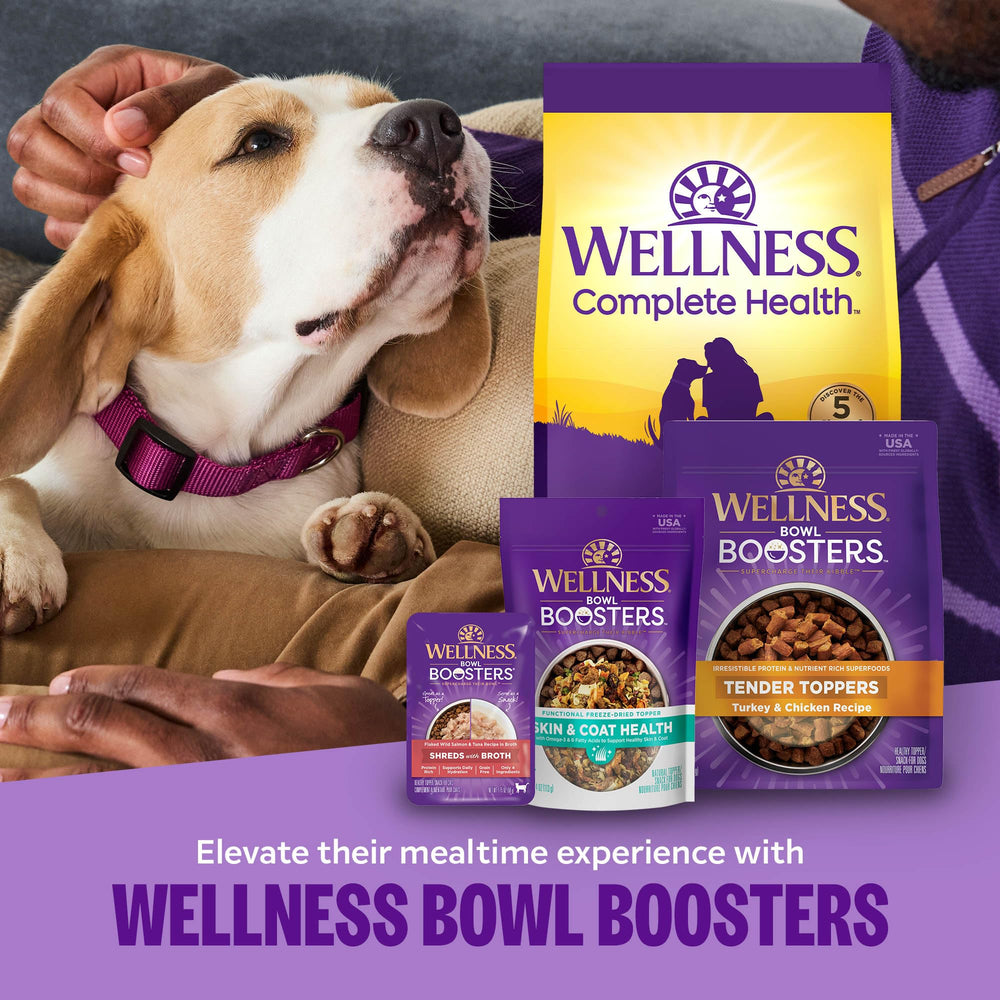 Recette agneau-saumon Wellness Tender Bowl Boosters en 8 onces