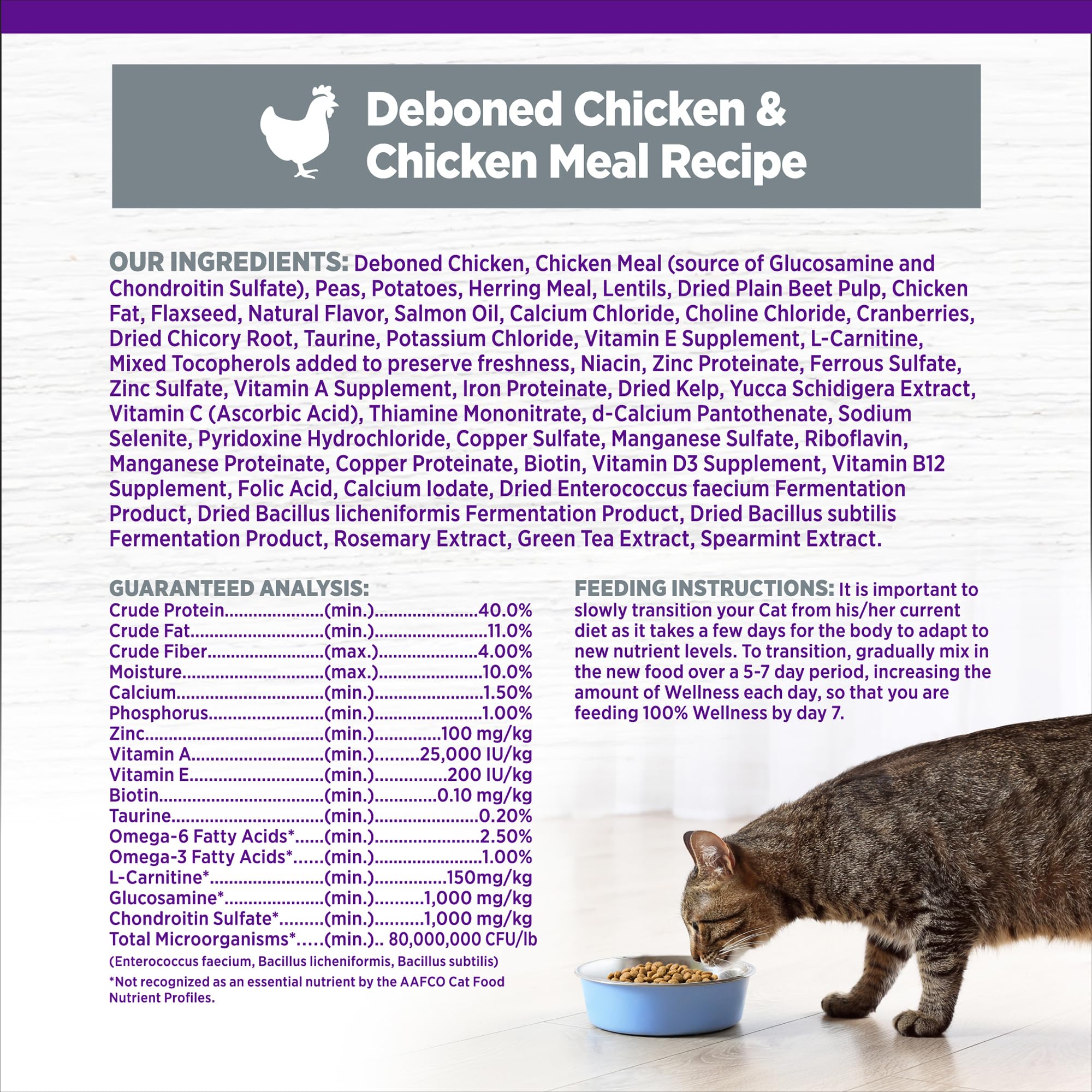 Senior cat enjoying a meal from Wellness kibble supporting energy and digestion.