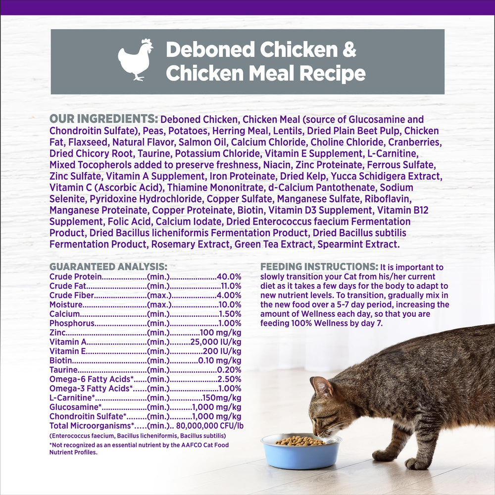 Senior cat enjoying a meal from Wellness kibble supporting energy and digestion.