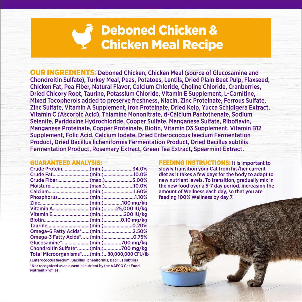 Wellness Complete Health cat dining time: enjoyable meal promoting dental health.