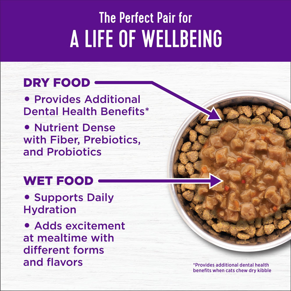 Wellness Complete Health dental-care inspired kibble cue for teeth and gums