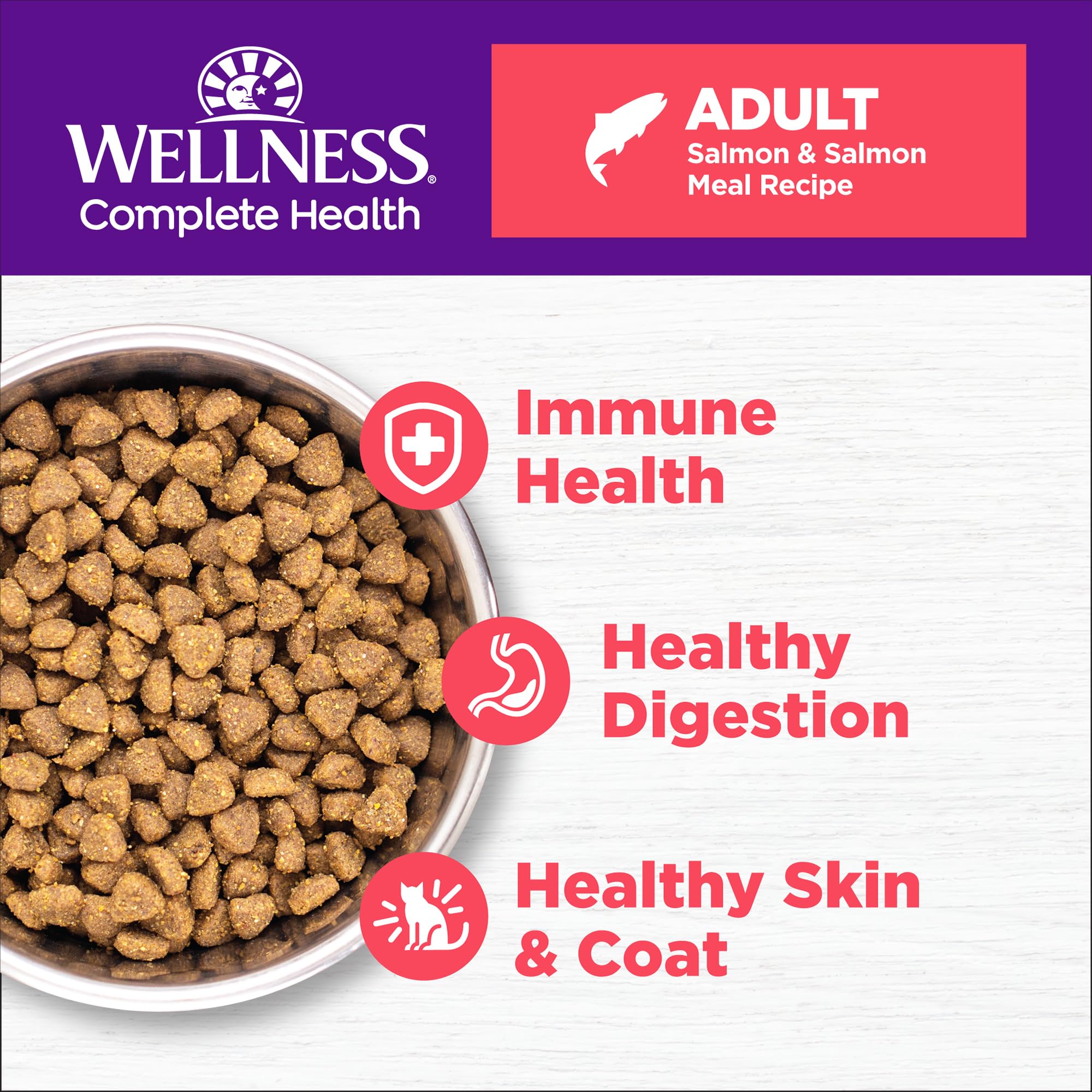 Wellness Complete Health cat kibble texture close-up supports cravings and digestion