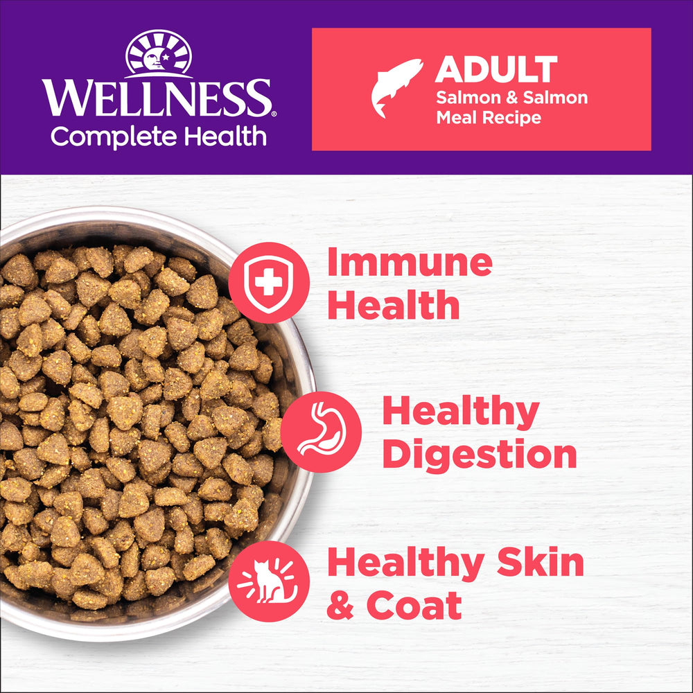 Wellness Complete Health cat kibble texture close-up supports cravings and digestion