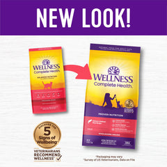 Wellness Complete Health salmon kibble close-up highlights real salmon flavor and protein