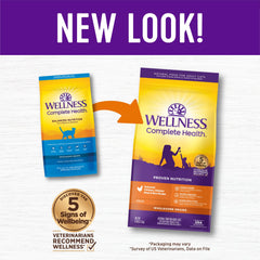Wellness Complete Health feeding bowl setup, daily meals ready for your cat.