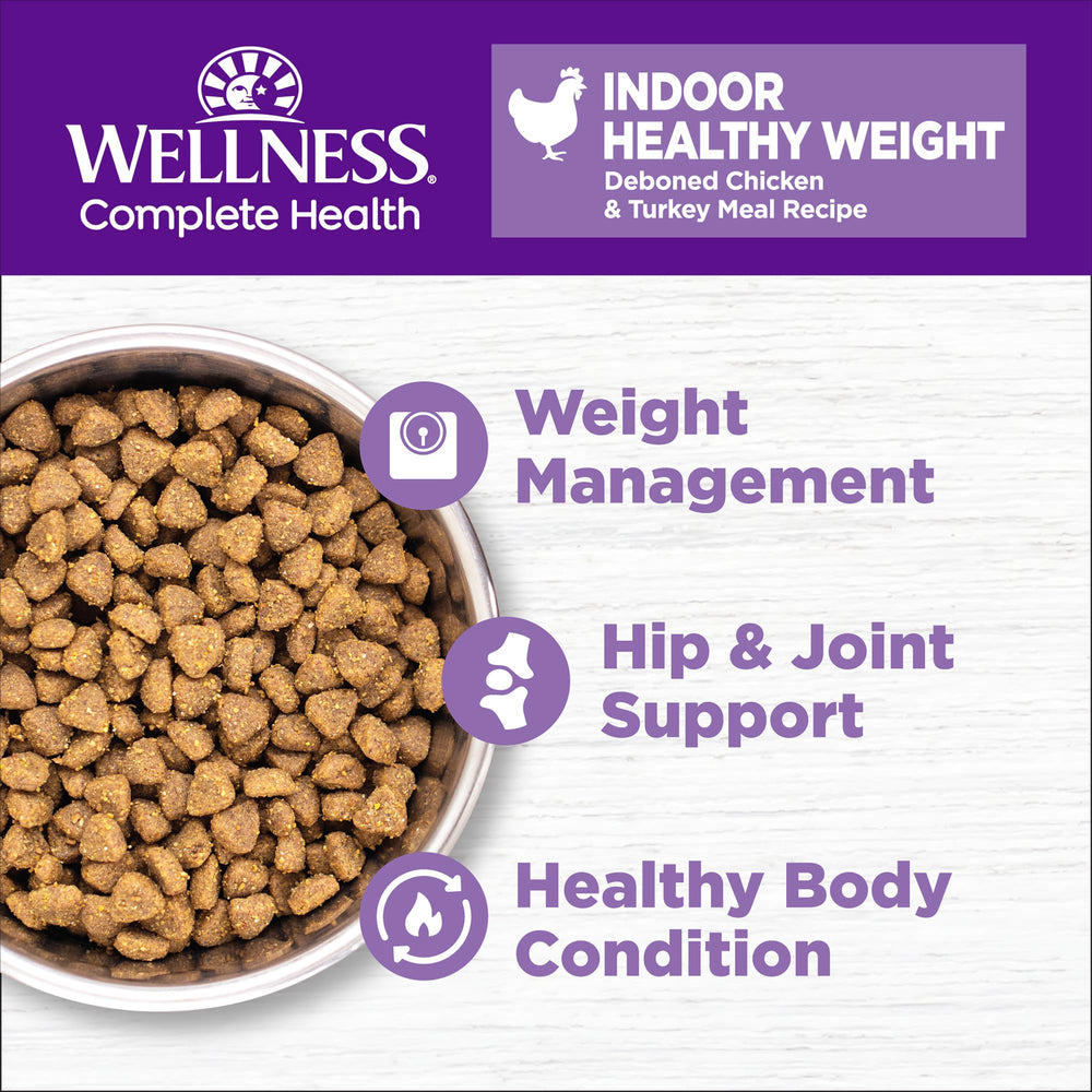 Wellness Complete Health chicken-turkey kibble served in a bowl for daily energy