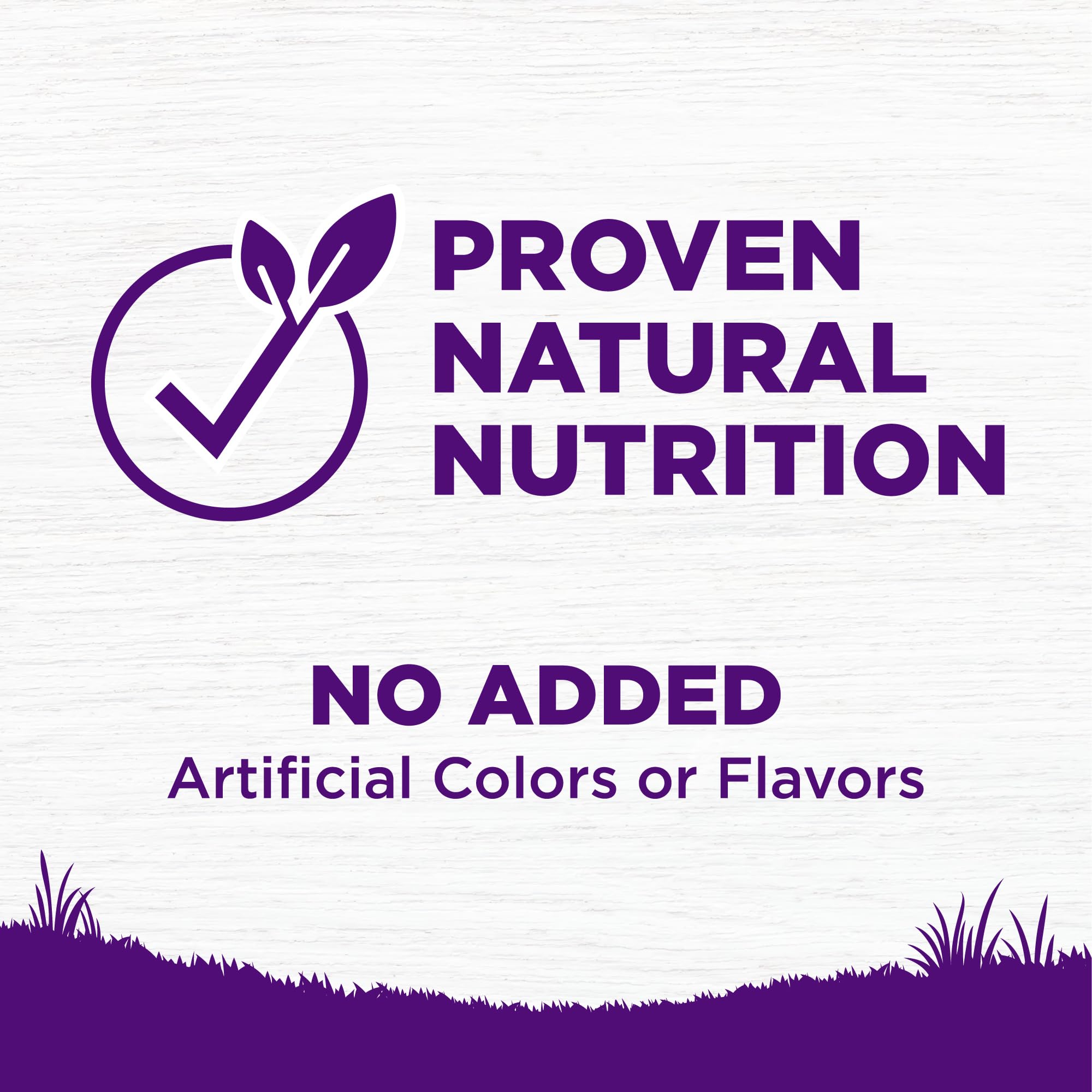 Wholesome grains visible in Wellness Complete Health kibble for balanced daily nutrition.