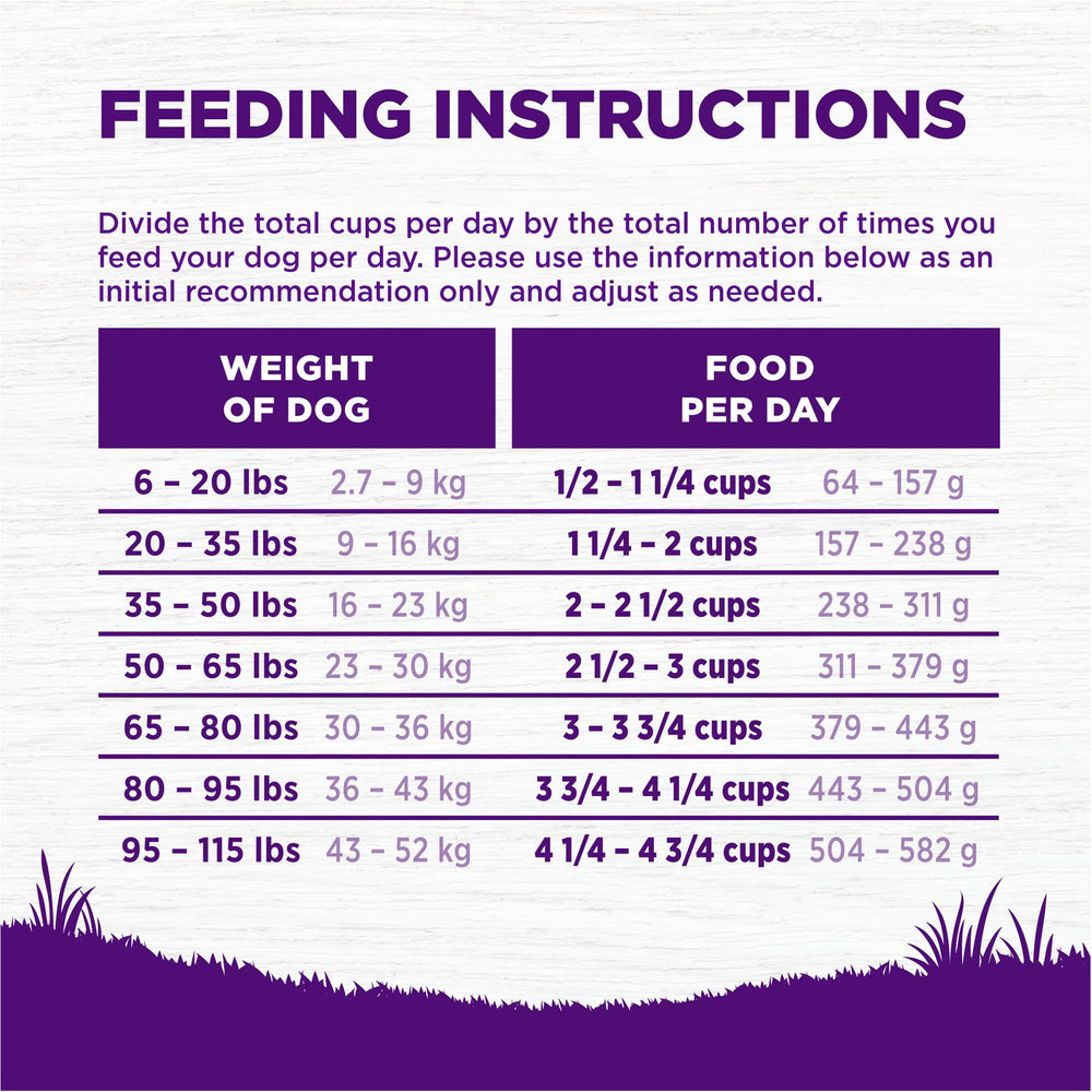 Ingredient label and USA-made production details on Wellness Complete Health packaging.