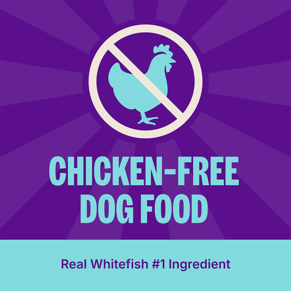 Wellness Complete Health kibble close-up with whitefish and sweet potato ingredients.