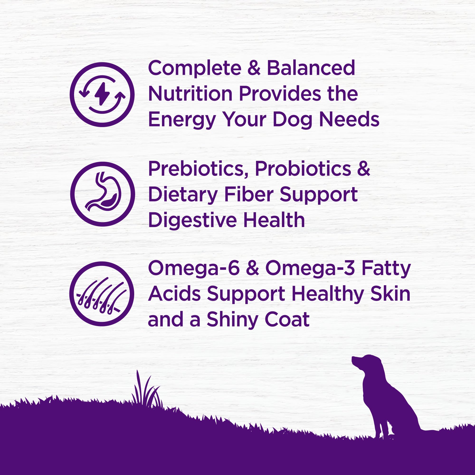 Wellness Complete Health kibble featuring whitefish and sweet potato highlights natural ingredients.