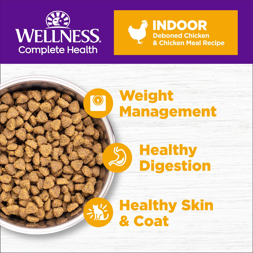Wellness Complete Health dry kibble close-up: grain-free protein for healthy coat.