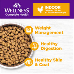 Wellness Complete Health dry kibble close-up: grain-free protein for healthy coat.