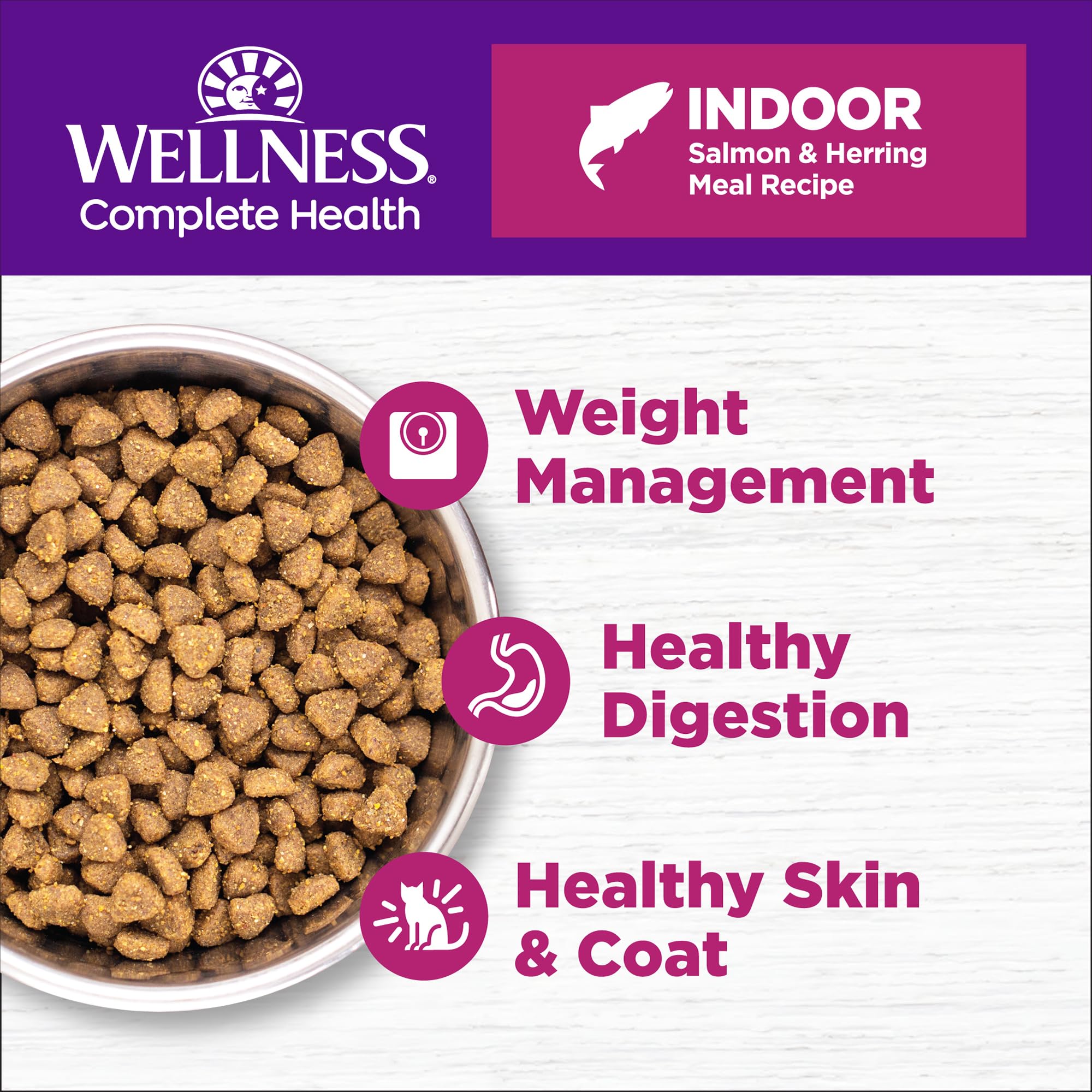 Wellness Complete Health Indoor cat bowl highlighting a balanced meal for energy.