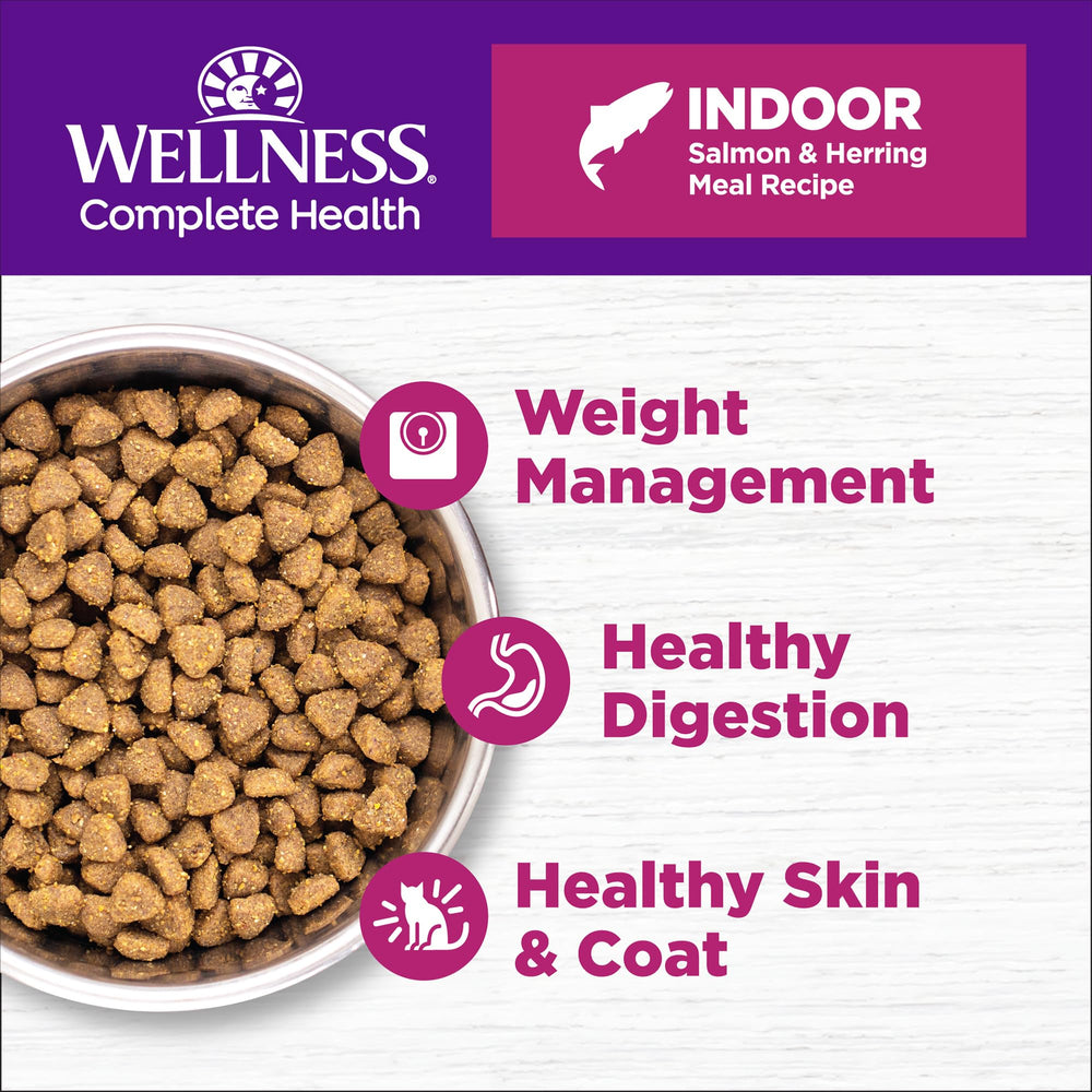 Wellness Complete Health Indoor cat bowl highlighting a balanced meal for energy.