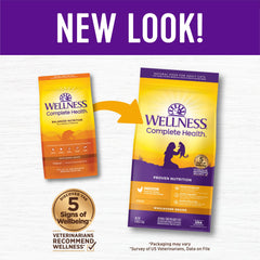 Wellness Complete Health Indoor Chicken Recipe cat enjoying meal with balanced nutrition