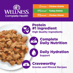 Wellness Complete Health minced chicken 3oz can provides protein-dense texture.