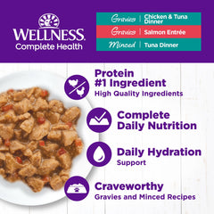 Wellness Complete Health minced-tuna can emphasizes texture and moisture for picky eaters.