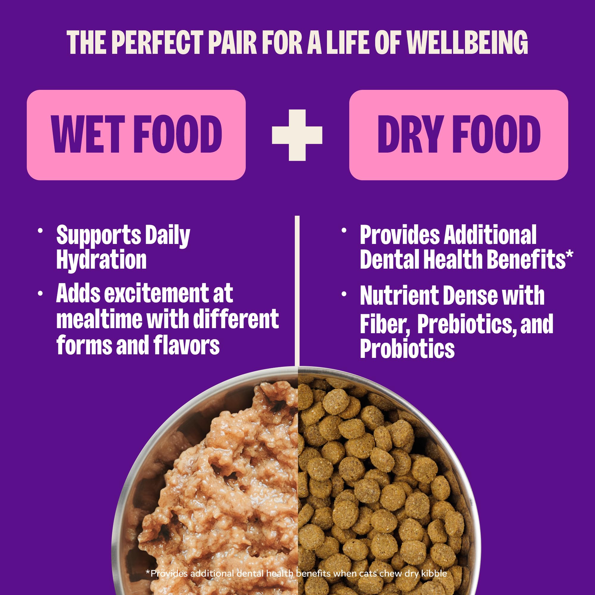 Wellness Complete Health cat eating scene emphasizes appetizing pate texture and moisture