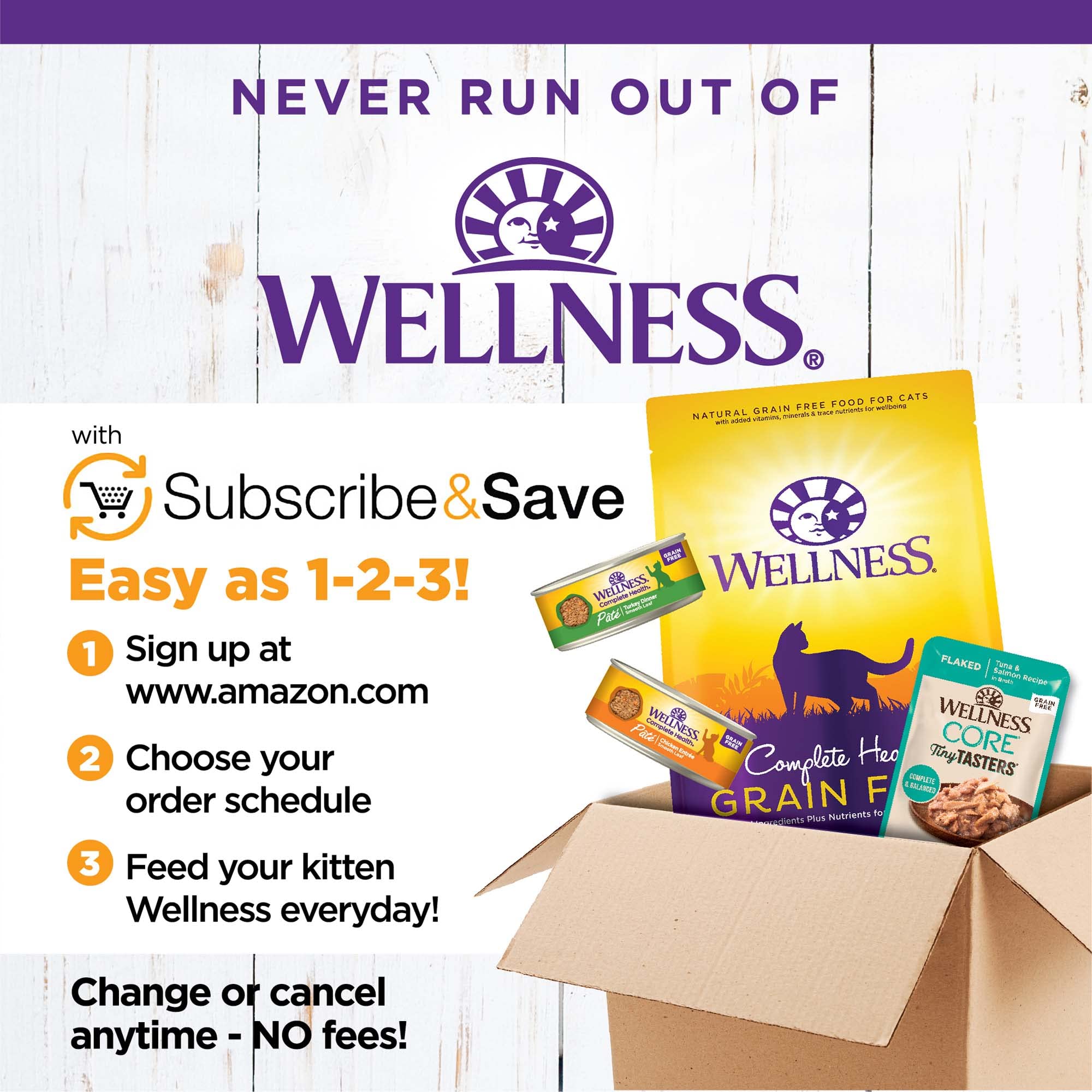 Wellness Complete Health Pate cat-serving-bowl, ready-to-serve meal at mealtime.