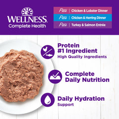 Wellness Complete Health Pate chicken lobster flavor image highlights premium seafood options for cats.