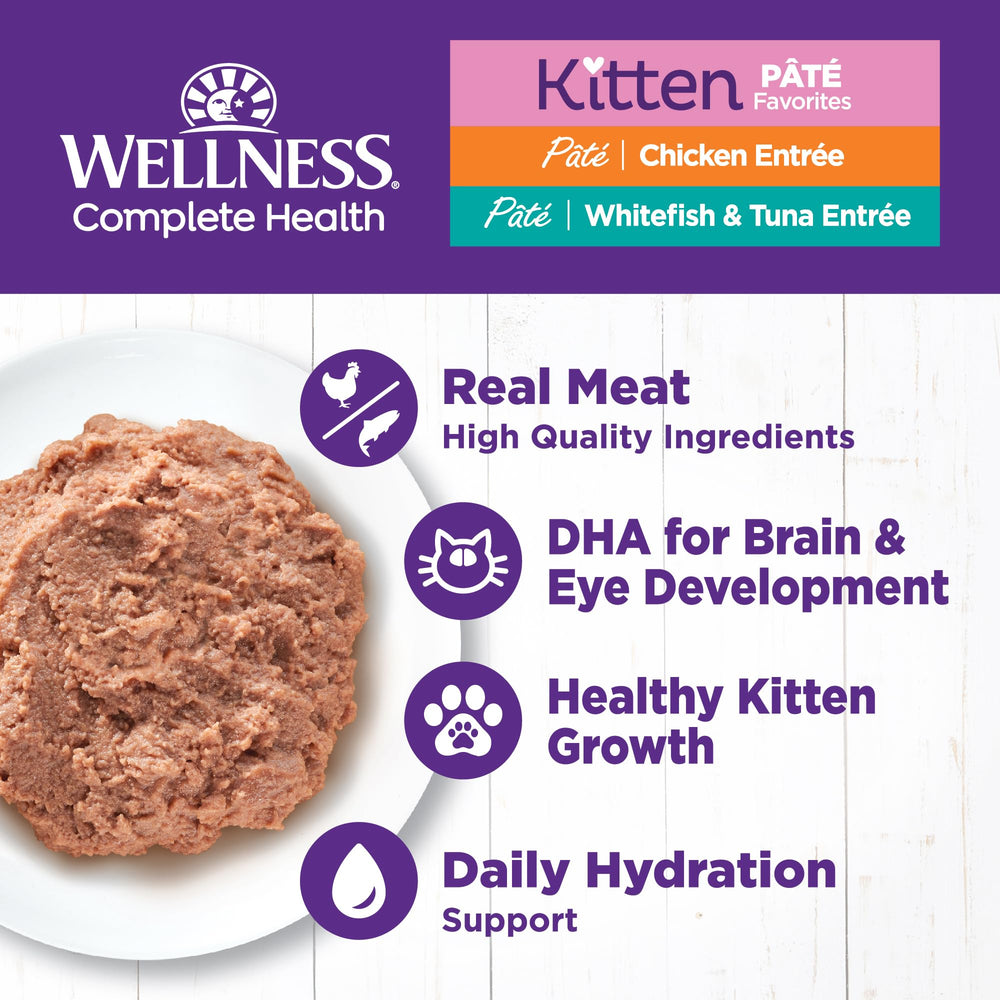 Wellness Complete Health Pate kitten whitefish-pate: moisture-rich option for hydration