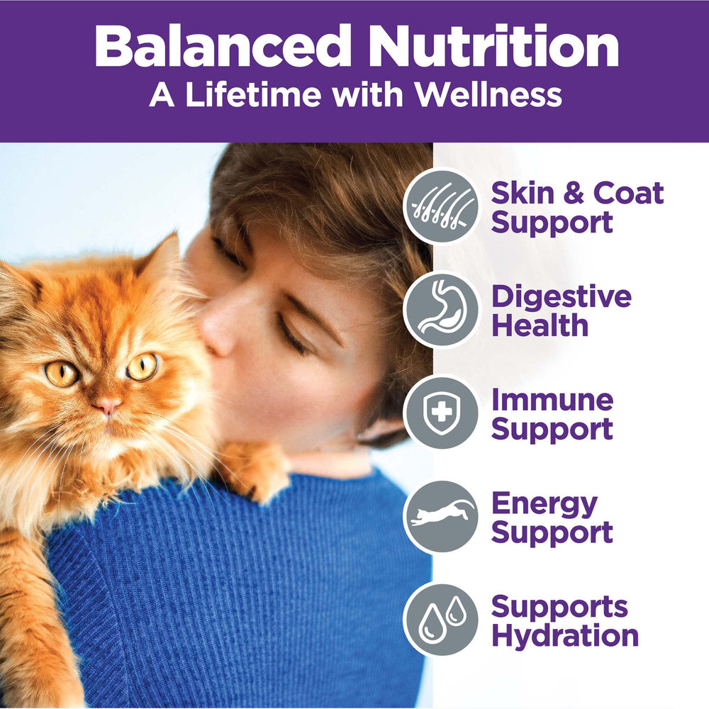 Wellness Complete Health Pate turkey-pate closeup, savory aroma and nutrition.