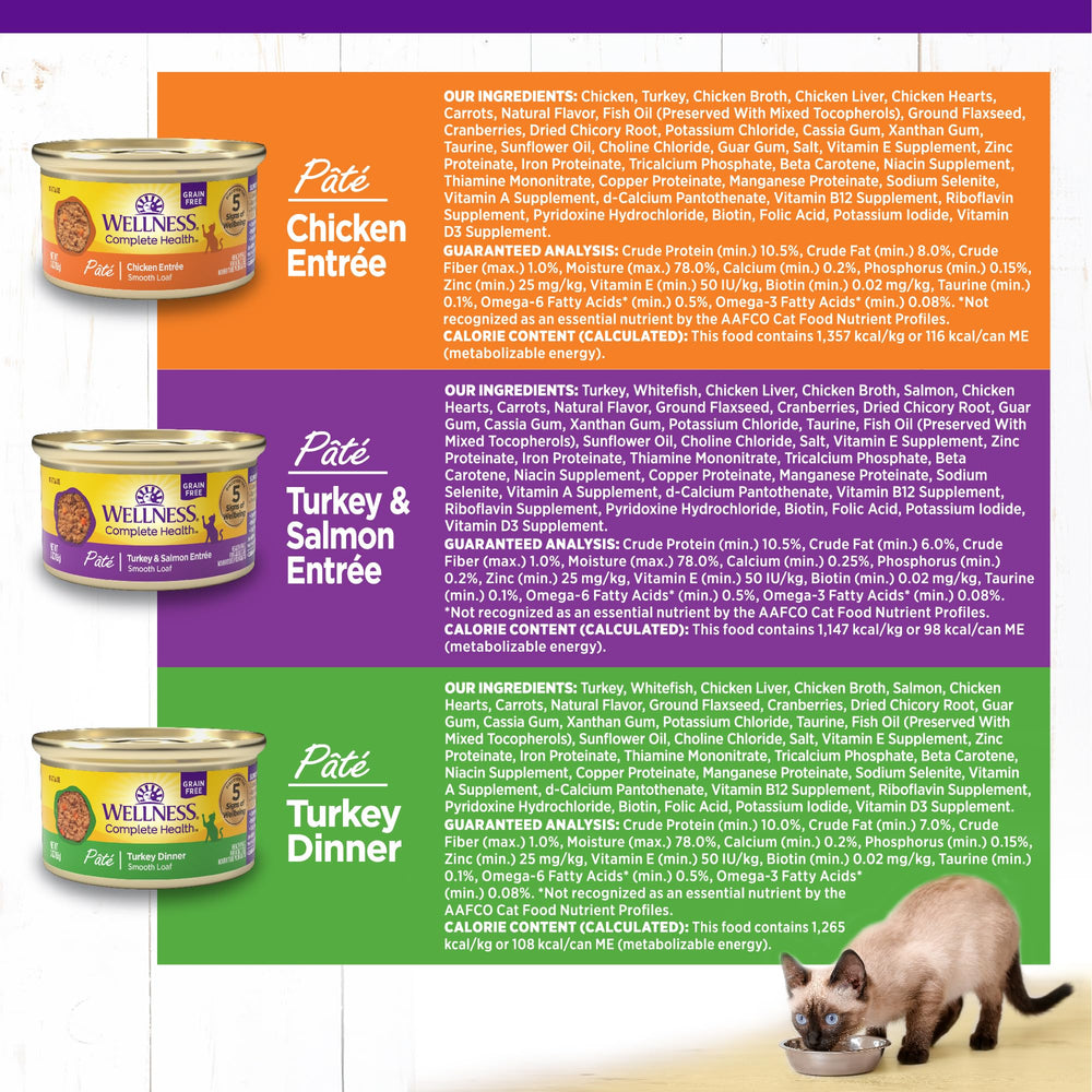 Wellness Complete Health water bowl alongside ensures easy hydration during meals