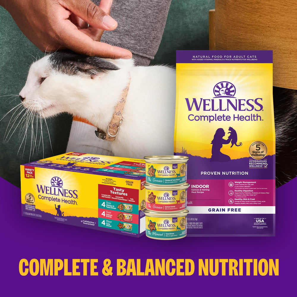 Wellness Complete Health room-temperature cans offer convenient serving.