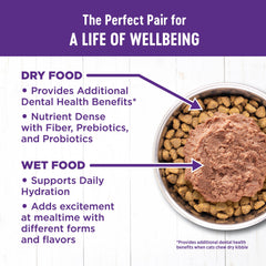 Wellness Complete Health kibble image emphasizing whole body health for cats