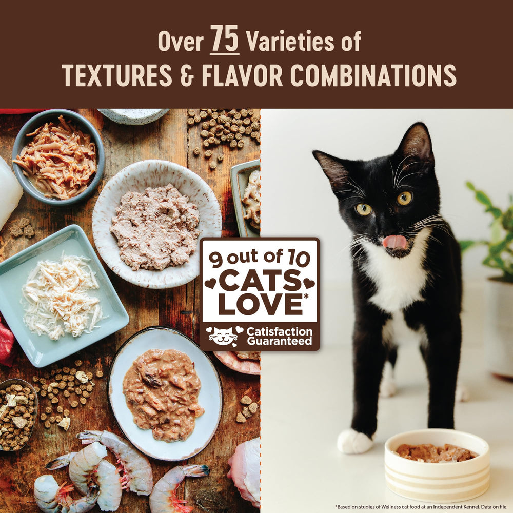 Wellness CORE+ Grain-free formula designed for easy digestion.