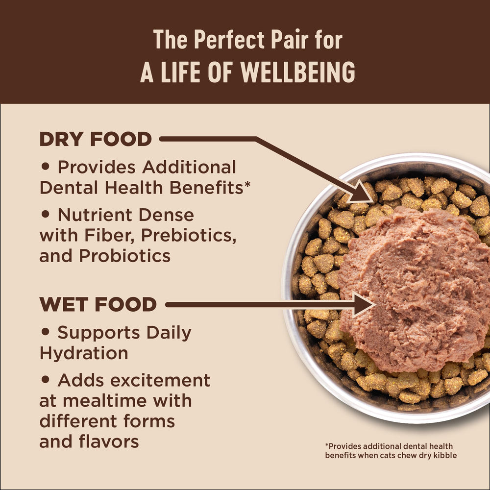 Wellness CORE+ Omega-3 support promotes healthy skin and coat in cats.